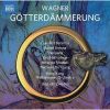 Download track 11. Act I - Scene 3 - Blitz Und Gewölk Vom Wind Getragen Brünnhilde Siegfried