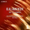 Download track 01 - Symphony No. 1 In G Minor - I. Allegro Moderato
