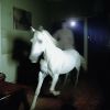 Download track Arca