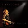 Download track Willow Tree (Live)