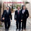 Download track Piano Trio No. 1 In D Minor, Op. 63 IV. Mit Feuer