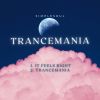 Download track It Feels Right