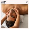 Download track Wellness Spa Music