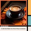 Download track Muggy Morning Meditations