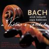 Download track Violin Sonata In A Major, BWV 1015: II. Allegro Assai'