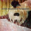 Download track Surround Yourself In Rain