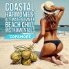 Download track Seaside Serenity