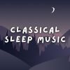 Download track Violin Concerto In D Major, RV 230: II. Larghetto