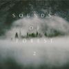 Download track Move Out (Forest Version)