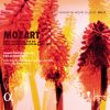 Download track Piano Concerto No. 14 In E-Flat Major, KV 449: III. Allegro Ma Non Troppo (Cadenzas By W. A. Mozart)