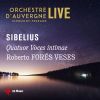 Download track String Quartet Voces Intimae In D Minor, Op. 56: II. Vivace