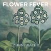 Download track Johnny One Note