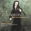 Download track 04. Violin Concerto No. 2 In B Minor Op. 7 I. Allegro Maestoso