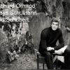 Download track Piano Sonata No. 21 In B-Flat Major, D. 960 II. Andante Sostenuto