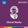 Download track Elegischer Gesang, Op. 118