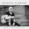 Download track What A Beautiful Day