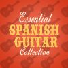 Download track Spanish Flare