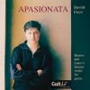 Download track La Catedral: Allegro Solemne