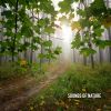 Download track Snowing