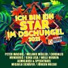 Download track Ich Bin Profi, Du Bist Amateur