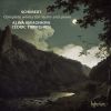 Download track Violin Sonata In A Minor, D 385 (Sonatina) - 1. Allegro Moderato
