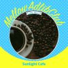 Download track A Different Dining