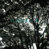 Download track この町というもの (A Thing Called This Town)