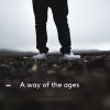 Download track Repercussions Bias