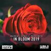 Download track Bring My Spirit (GDJB In Bloom 2019)