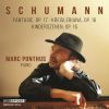 Download track Kinderszenen, Op. 15 No. 9, Ritter Vom Steckenpferd