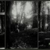 Download track The Wayfarer