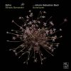 Download track Ouverture No. 4 In D Major, BWV 1069 - Menuet 1 & 2