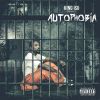 Download track Introverted