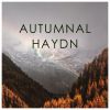 Download track String Quartet In B Minor, Hob. IIi'68, (Op. 64 No. 2) 4. Finale. Presto