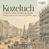 Download track 11. Sonata VI In F Major - Siciliano. Non Troppo Lento