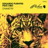 Download track Symmetry