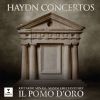 Download track 16. Piano Concerto In D Major, Hob. XVIII, 11 II. Un Poco Adagio