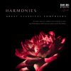 Download track Youths Magic Horn: No. 2 Joyfully I Walked Through The Green Forest (Lieder Eines Fahrenden Gesellen. (Welte-Mignon 768)