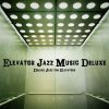 Download track The Elevator Operator
