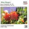 Download track Beethoven-Variationen - Variation 7: Poco Vivace