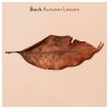 Download track Variation V. Un Poco Allegro