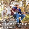 Download track A Good Life