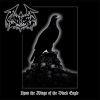 Download track Path Of Blood