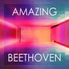 Download track Piano Variations In F Major, Op. 34: Variation II. Allegro Ma Non Troppo In B Major