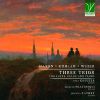 Download track Trio For Flute, Cello And Piano In D Major, Hob. XV: 16 : I. Allegro