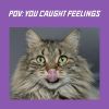 Download track I'm Not Here To Make Friends