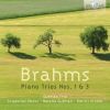 Download track 2. Piano Trio No. 1 In B Major Op. 8 - II. Scherzo: Allegro Molto