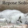 Download track Make Less Tense Ambient