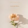 Download track Latte Reflections