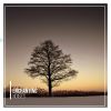 Download track Moonlit Reflections